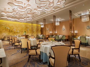 綠色飯店在行動 我們的共同未來